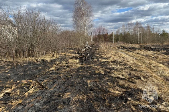 В Ивановском районе огонь уничтожил баню и траву вокруг